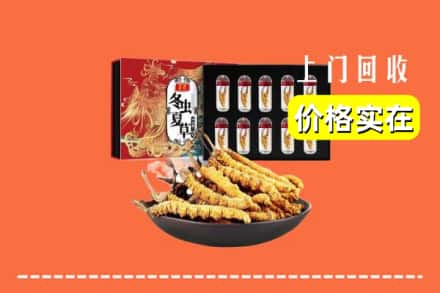泰山区回收虫草